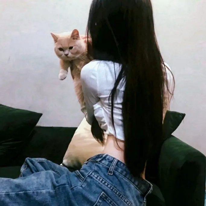 完美母亲
