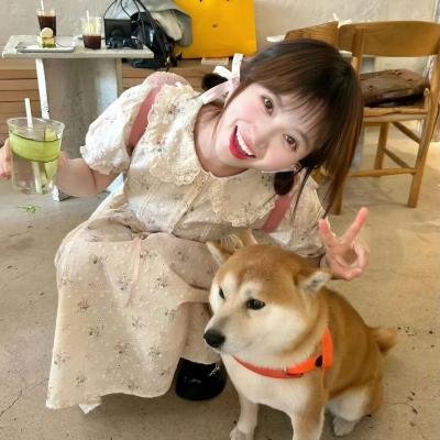 独活女子的推荐第四季